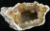 Agatized Fossil Coral Geode - Florida #22420-1